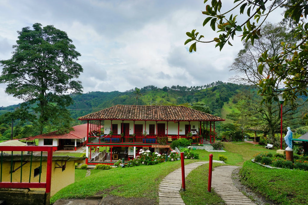 The Ultimate Coffee Farm Architectural Tour
