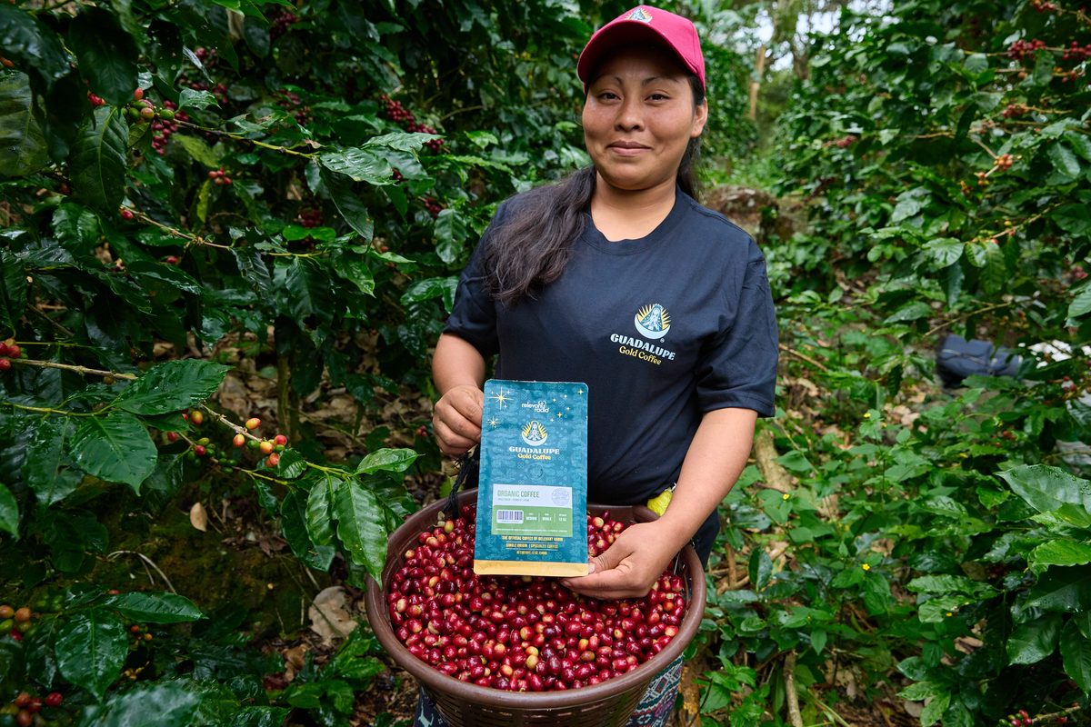 Farmer holding Guadalupe Gold coffee bag with fresh cherries
